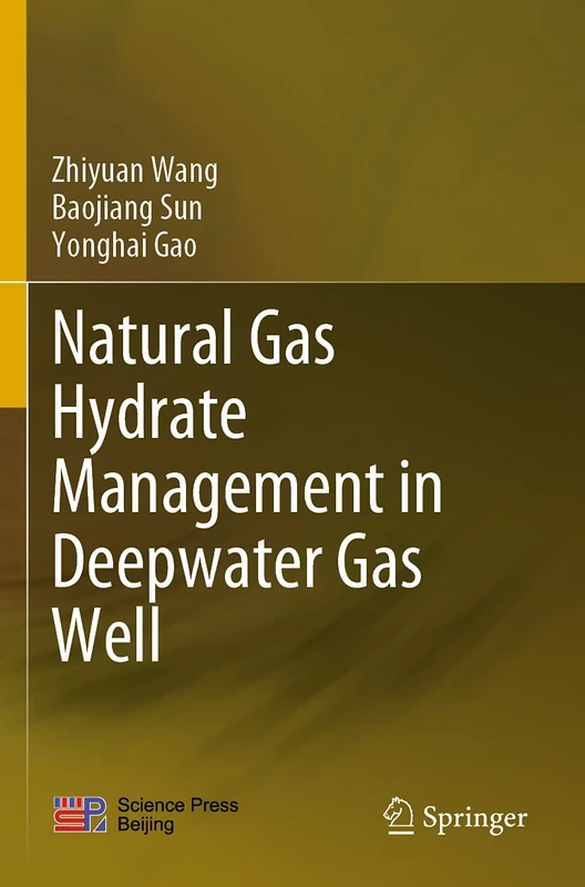 Natural Gas Hydrate Management in Deepwater Gas Well - Image 1