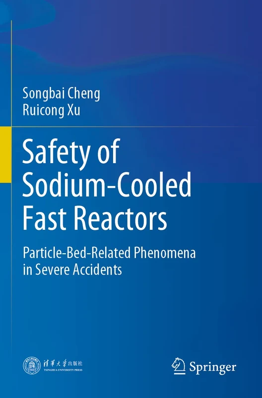 Safety of Sodium-Cooled Fast Reactors: Particle-Bed-Related Phenomena in Severe Accidents