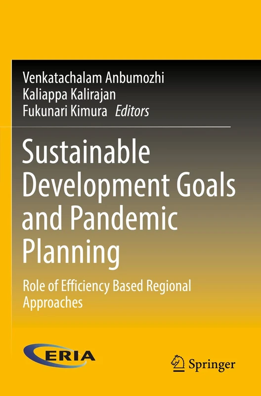 Sustainable Development Goals and Pandemic Planning: Role of Efficiency Based Regional Approaches