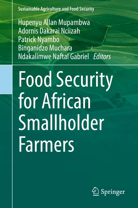 Food Security for African Smallholder Farmers (Sustainability Sciences in Asia and Africa)