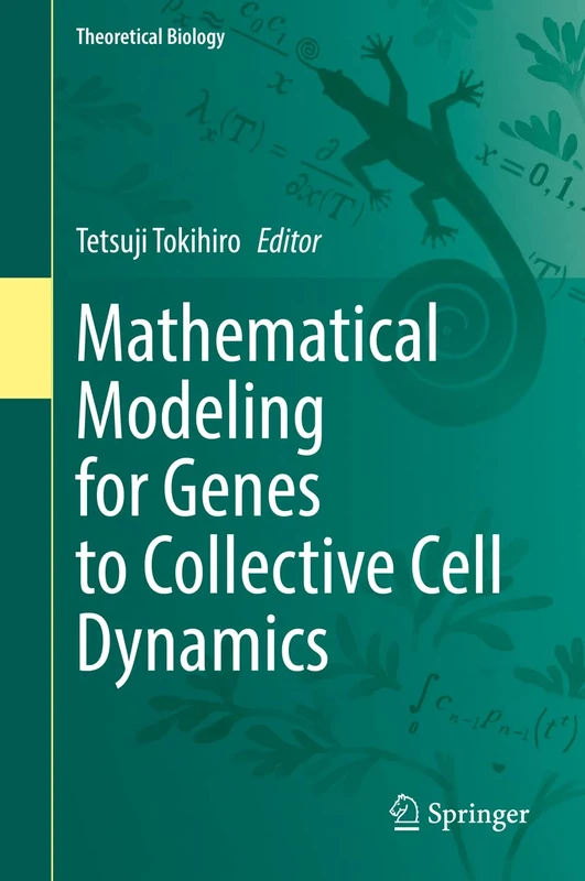 Mathematical Modeling for Genes to Collective Cell Dynamics (Theoretical Biology)