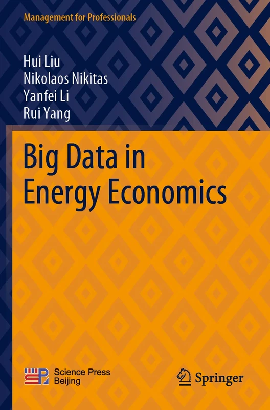 Big Data in Energy Economics (Management for Professionals)