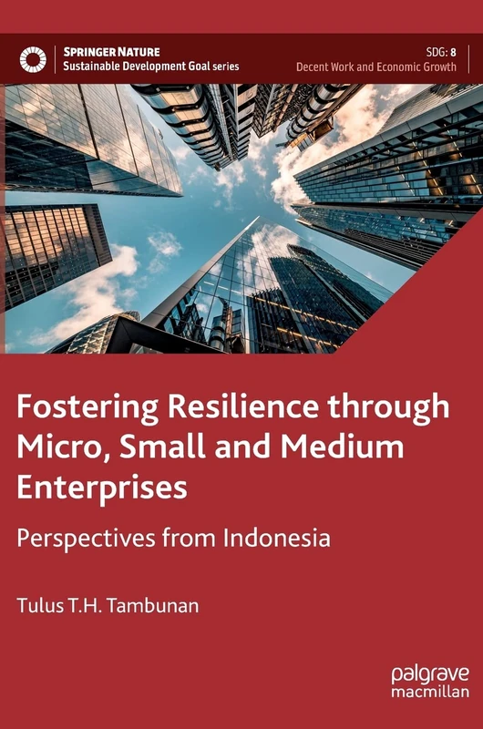 Fostering Resilience through Micro, Small and Medium Enterprises: Perspectives from Indonesia (Sustainable Development Goals Series)