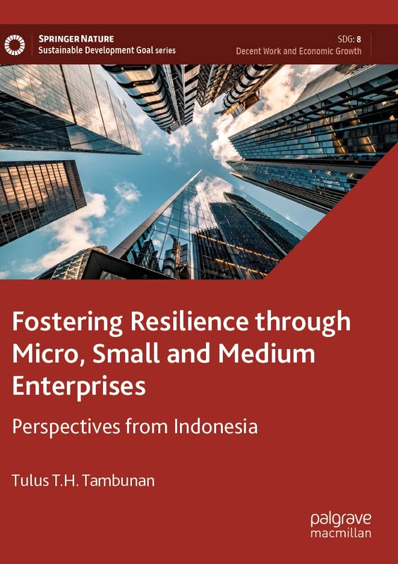 Fostering Resilience through Micro, Small and Medium Enterprises: Perspectives from Indonesia (Sustainable Development Goals Series)