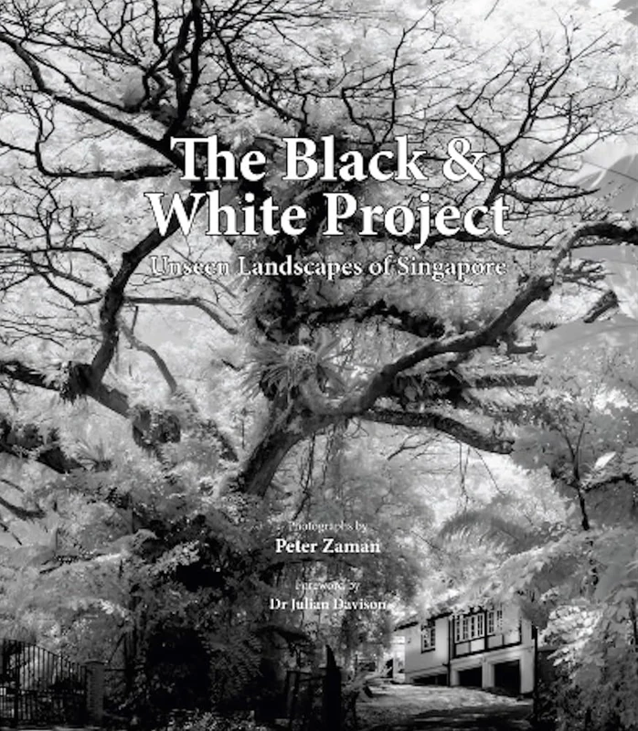 The Black & White Project: Unseen Landscapes of Singapore - Image 1