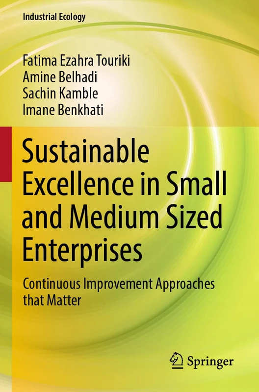 Sustainable Excellence in Small and Medium Sized Enterprises: Continuous Improvement Approaches that Matter (Industrial Ecology)