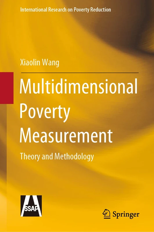 Multidimensional Poverty Measurement: Theory and Methodology (International Research on Poverty Reduction)