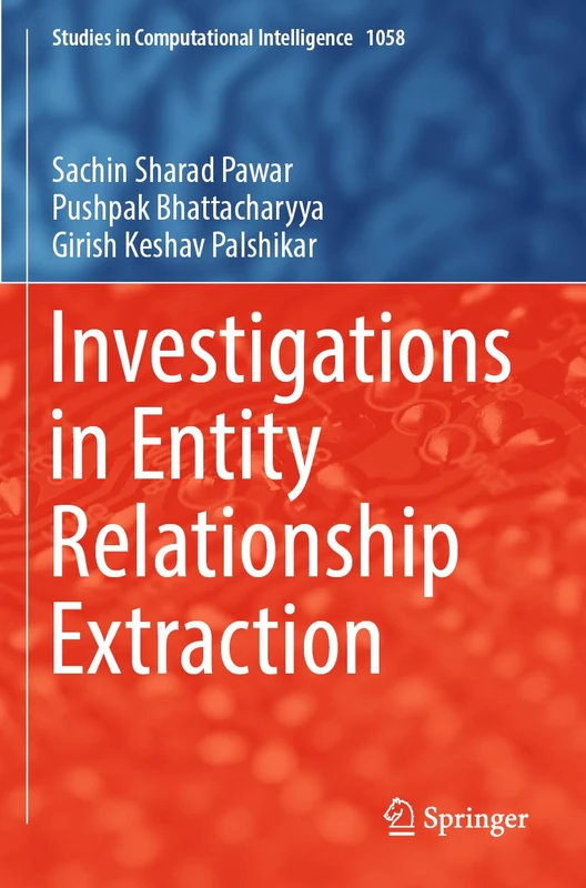 Investigations in Entity Relationship Extraction: 1058 (Studies in Computational Intelligence, 1058)