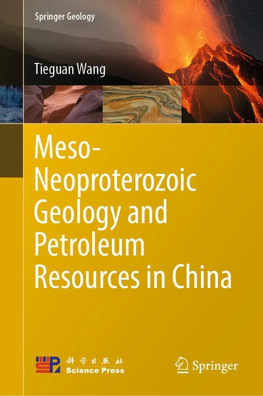 Meso-Neoproterozoic Geology and Petroleum Resources in China (Springer Geology)