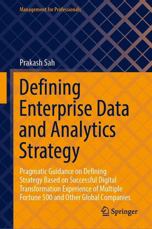 Defining Enterprise Data and Analytics Strategy: Pragmatic Guidance on Defining Strategy Based on Successful Digital Transformation Experience of ... Companies (Management for Professionals)