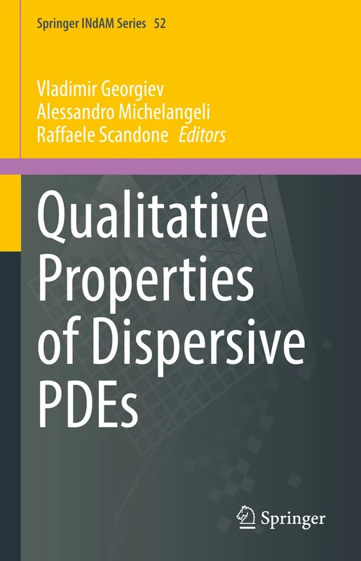 Qualitative Properties of Dispersive PDEs: 52 (Springer INdAM Series, 52)