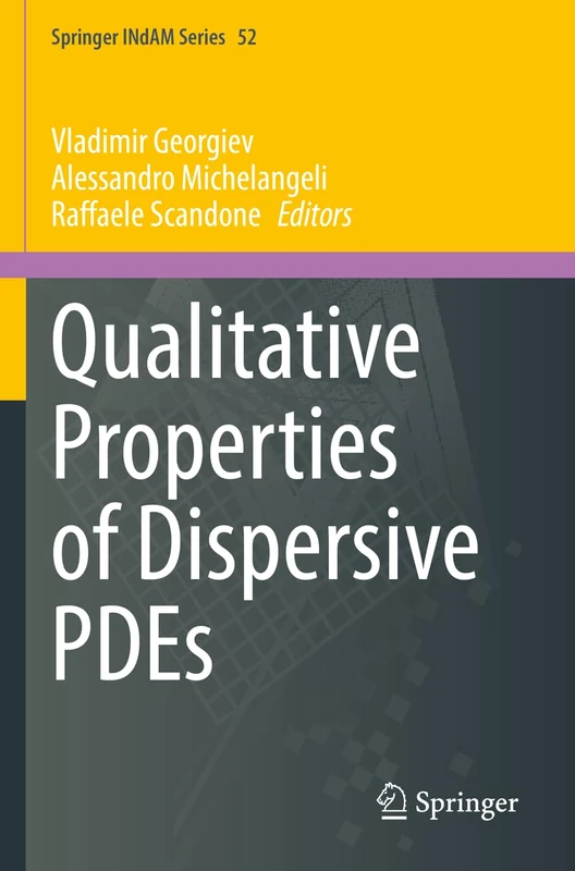Qualitative Properties of Dispersive PDEs: 52 (Springer INdAM Series, 52)