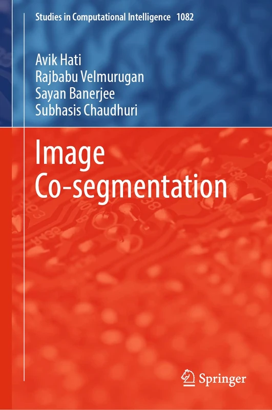 Image Co-segmentation: 1082 (Studies in Computational Intelligence, 1082) - Image 1