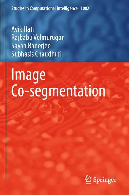 Image Co-segmentation: 1082 (Studies in Computational Intelligence, 1082)