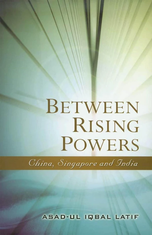 Between Rising Powers: China, Singapore and India - Image 1