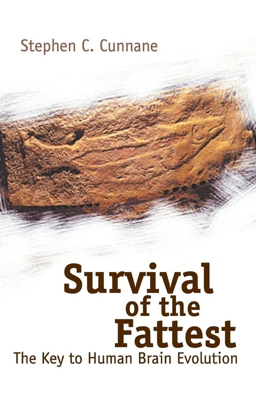 Survival Of The Fattest: The Key To Human Brain Evolution - Image 1