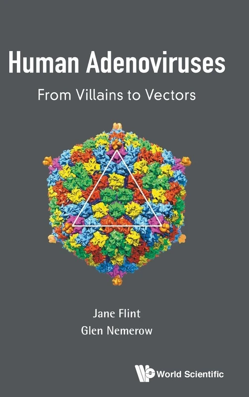 Human Adenoviruses: From Villains to Vectors