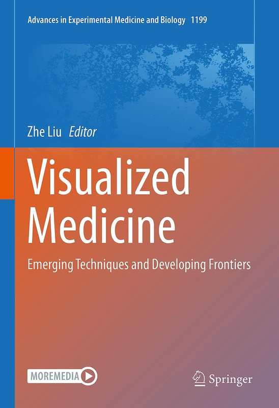 Visualized Medicine: Emerging Techniques and Developing Frontiers: 1199 (Advances in Experimental Medicine and Biology, 1199)