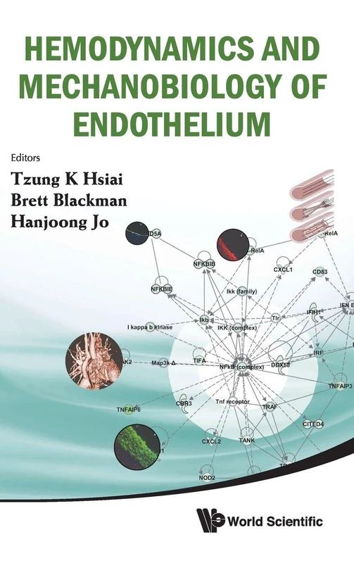 Hemodynamics and Mechanobiology of Endothelium