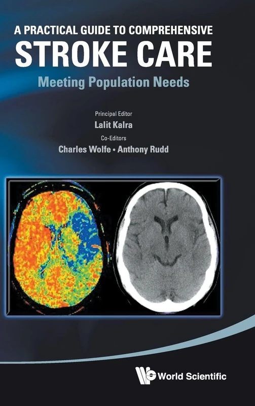 A Practical Guide to Comprehensive Stroke Care: Meeting Population Needs