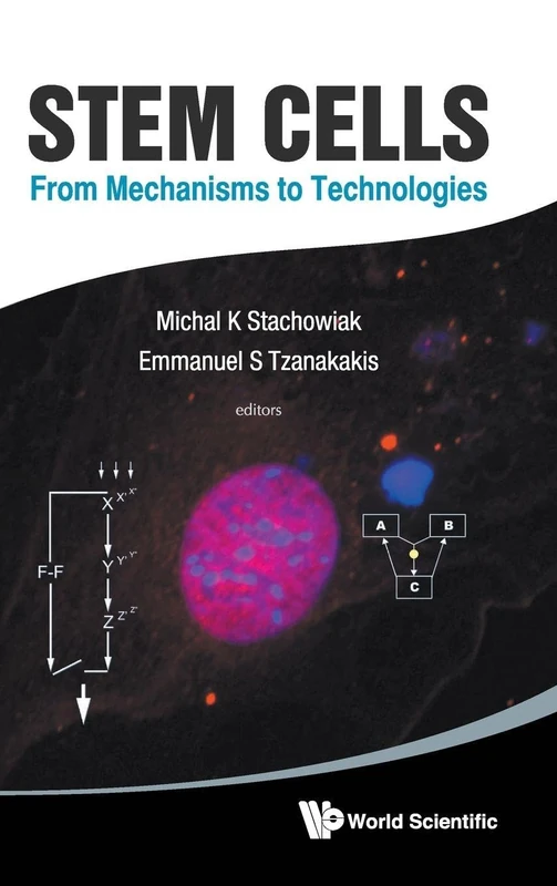 Stem Cells: From Mechanisms to Technologies