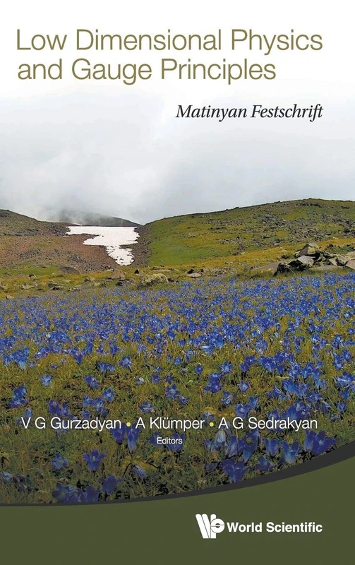 LOW DIMENSIONAL PHYSICS AND GAUGE PRINCIPLES: MATINYAN'S FESTSCHRIFT - Image 1