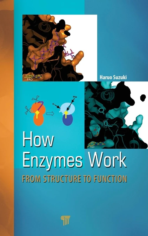 How Enzymes Work: From Structure to Function