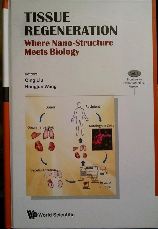 Tissue Regeneration: Where Nano-Structure Meets Biology: 2 (Frontiers in Nanobiomedical Research)