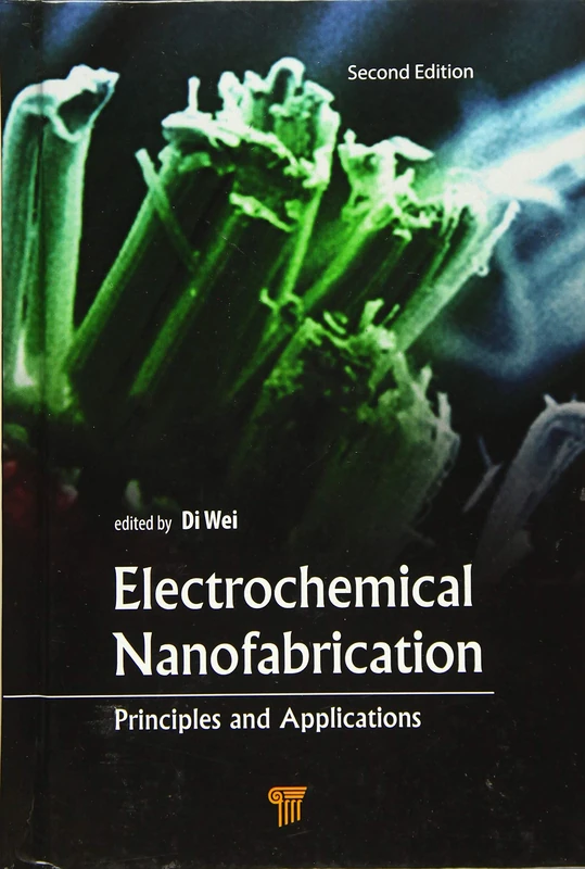 Electrochemical Nanofabrication: Principles and Applications, Second Edition - Image 1