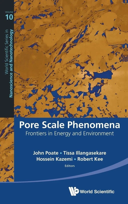 Pore Scale Phenomena: Frontiers In Energy And Environment (World Scientific Series in Nanoscience and Nanotechnology): 10