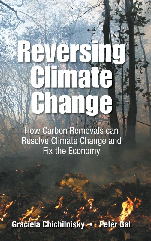 Reversing Climate Change: How Carbon Removals Can Resolve Climate Change And Fix The Economy (Environmental Energy Economics)
