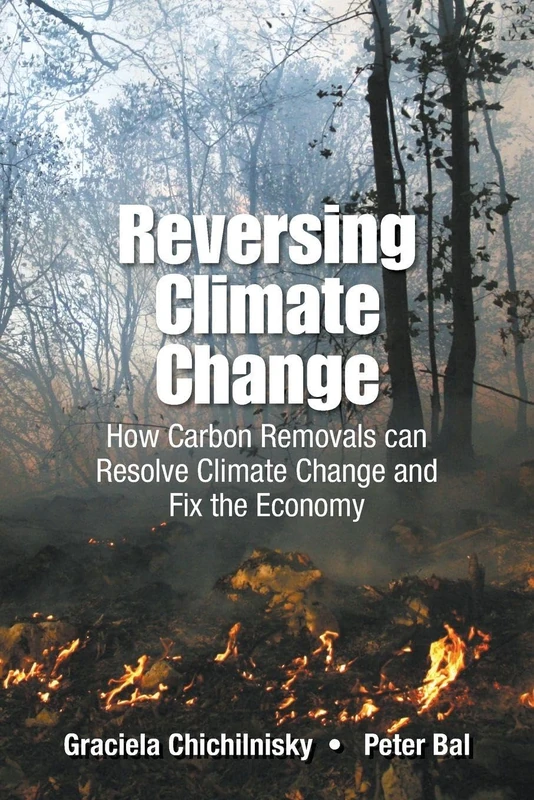 Reversing Climate Change: How Carbon Removals Can Resolve Climate Change And Fix The Economy - Image 1