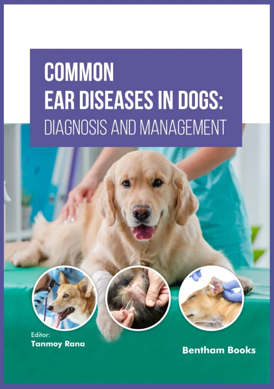 Common Ear Diseases in Dogs: Diagnosis and Management