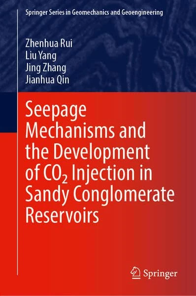 Seepage Mechanisms and the Development of CO₂ Injection in Sandy Conglomerate Reservoirs (Springer Series in Geomechanics and Geoengineering)