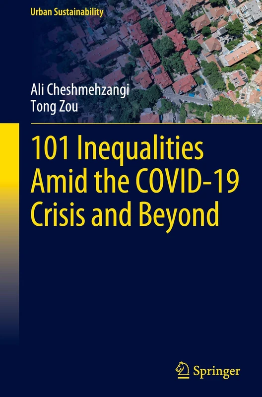 101 Inequalities Amid the COVID-19 Crisis and Beyond (Urban Sustainability)