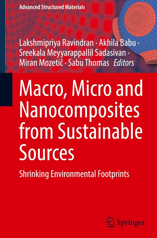 Macro, Micro and Nanocomposites from Sustainable Sources: Shrinking Environmental Footprints (Advanced Structured Materials, 244)