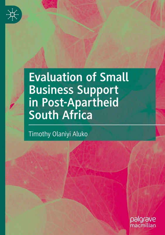 Evaluation of Small Business Support in Post-Apartheid South Africa - Image 1