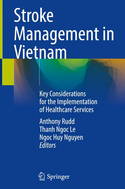 Stroke Management in Vietnam: Key Considerations for the Implementation of Healthcare Services