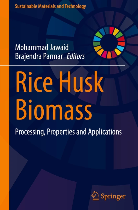 Rice Husk Biomass: Processing, Properties and Applications (Sustainable Materials and Technology)