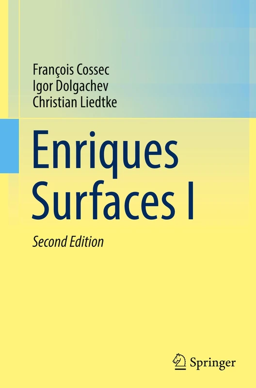 Enriques Surfaces I