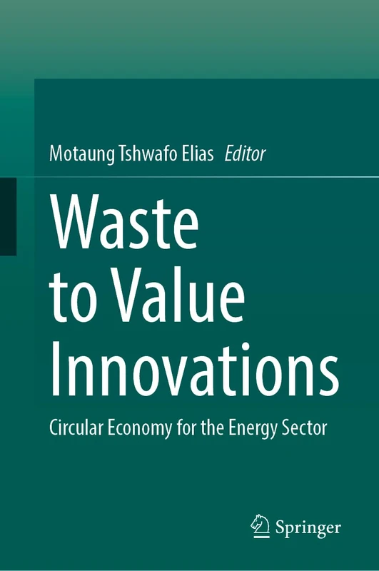 Waste to Value Innovations: Circular Economy for the Energy Sector