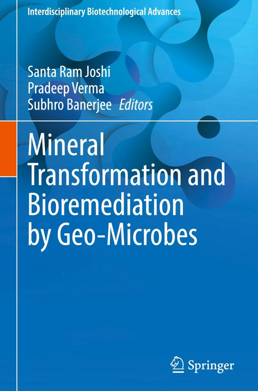 Mineral Transformation and Bioremediation by Geo-Microbes (Interdisciplinary Biotechnological Advances)