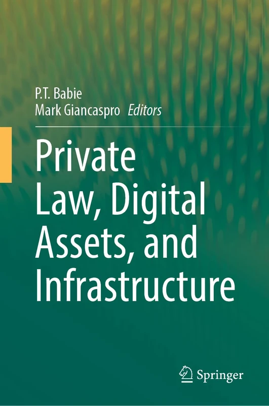 Springer - Private Law, Digital Assets, and Infrastructure Book