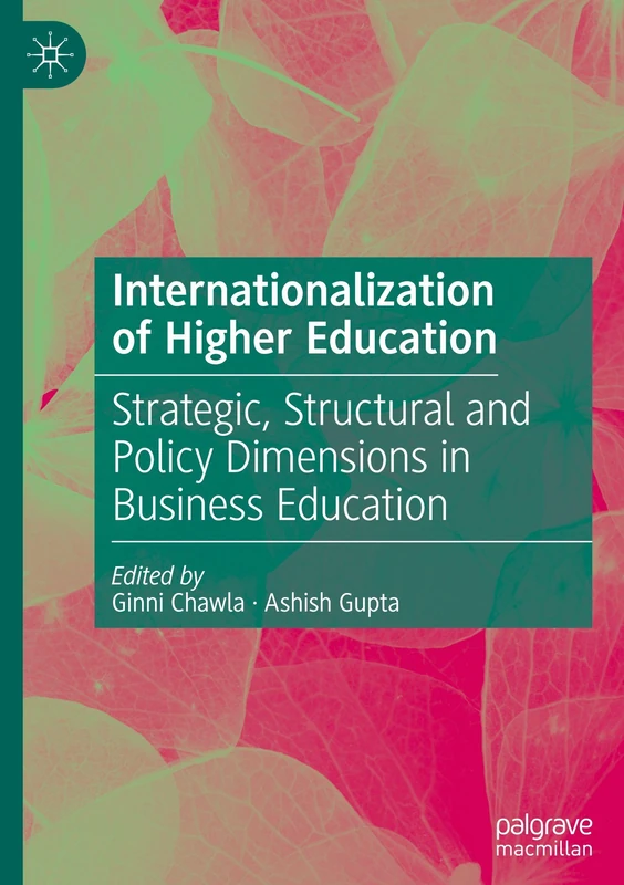 MACMILLAN Internationalization of Higher Education Book