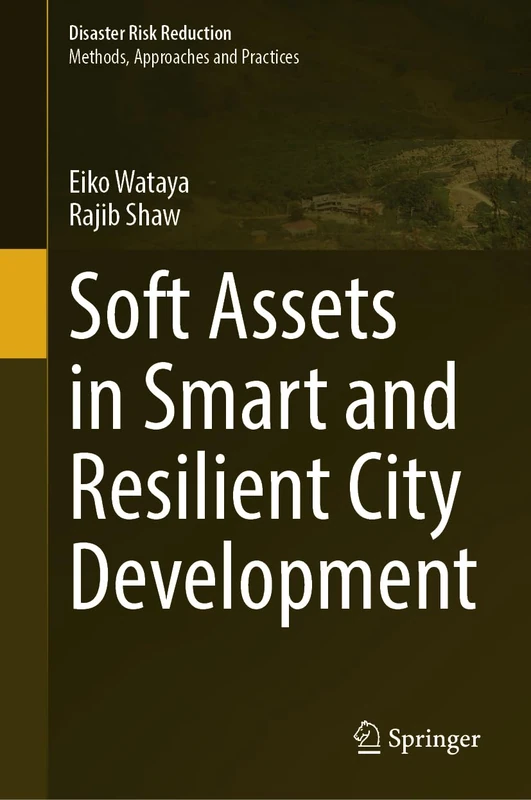 Soft Assets in Smart and Resilient City Development (Disaster Risk Reduction)