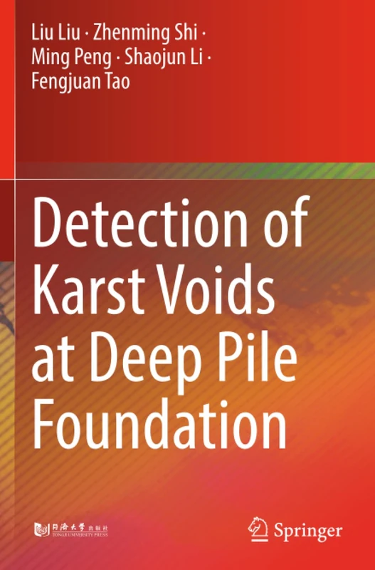 Springer - Detection of Karst Voids at Deep Pile Foundation