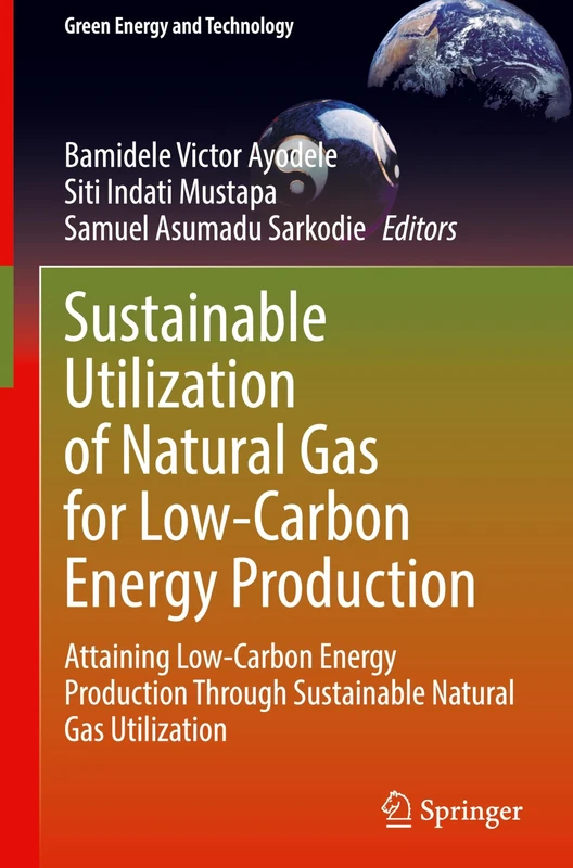 Sustainable Utilization of Natural Gas for Low-Carbon Energy Production: Attaining Low-Carbon Energy Production Through Sustainable Natural Gas Utilization (Green Energy and Technology)