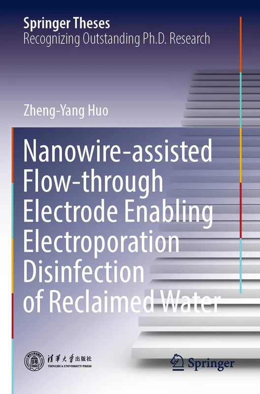 Nanowire-assisted Flow-through Electrode Enabling Electroporation Disinfection of Reclaimed Water (Springer Theses)