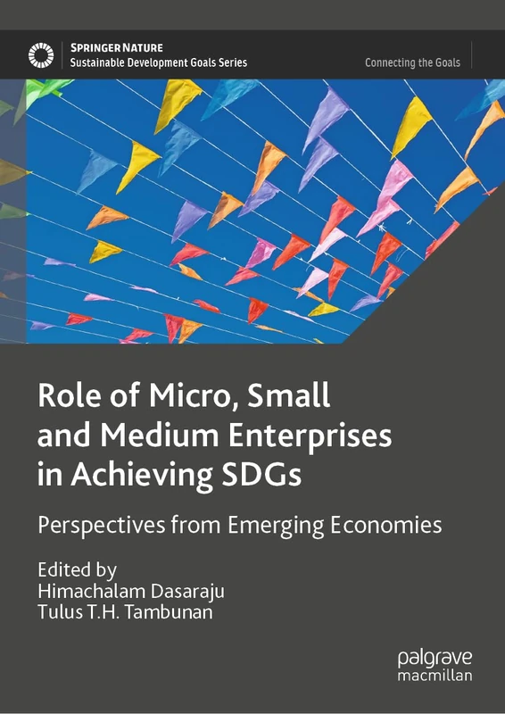 Role of Micro, Small and Medium Enterprises in Achieving SDGs: Perspectives from Emerging Economies (Sustainable Development Goals Series)