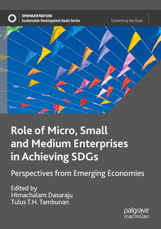 Role of Micro, Small and Medium Enterprises in Achieving SDGs: Perspectives from Emerging Economies (Sustainable Development Goals Series)